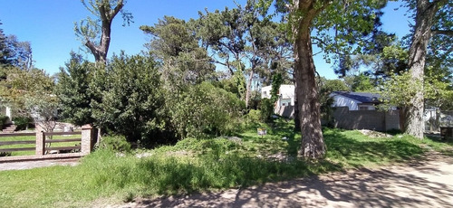 Imagen 4 de 6 de Espectacular Lote De 985m2 Residencial A 4 Cuadras Del Mar