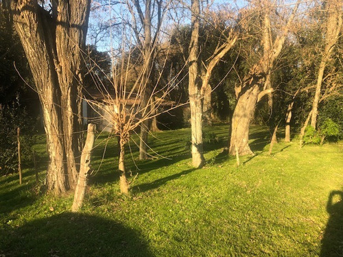 Imagen 1 de 5 de Amplio Lote A La Venta En Alejandro Petion Cañuelas.