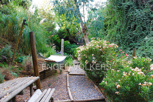 Casa En Arriendo - La Foresta