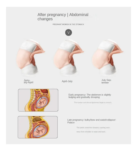 Durante El Embarazo Y El Cuidado Prenatal Para Aliviar El So