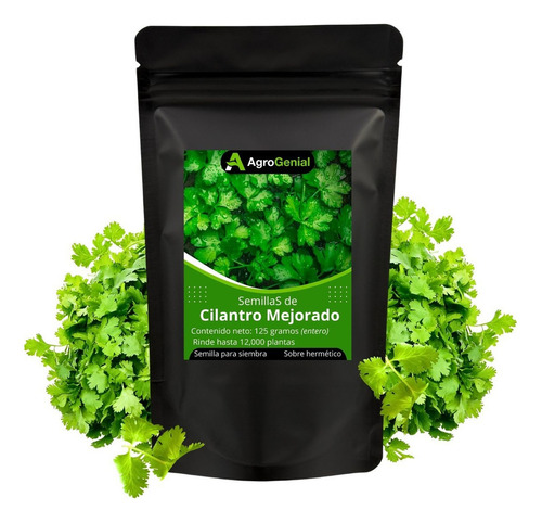 Semillas De Cilantro Precoz Certificado Para Sembrar 125g