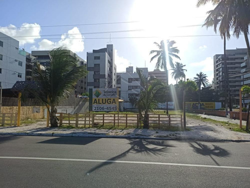 Imagem 1 de 4 de Terrenos - Ref: L2285