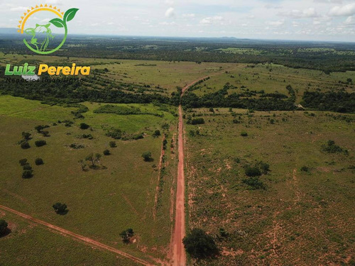 Imagem 3 de 15 de Fazenda À Venda Em Fátima - To-excelente P/ Lavoura, Plantio De Até 800 Hec - 1617