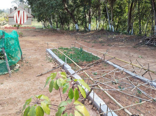Imagem 26 de 30 de Ótima Chácara Com 1 Dormitório, Galinheiro, Bem Localizado, Acesso Todo Asfaltado, À Venda, 5000 M² Por R$ 350.000 - Rural - Monte Alegre Do Sul/sp - Ch1006