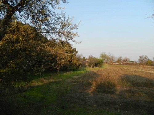 Imagen 13 de 16 de Gran Terreno En Arriendo