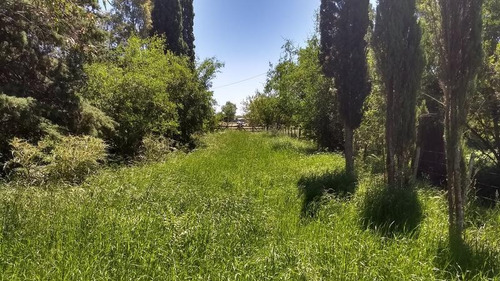 Imagen 14 de 19 de Campo Mixto De 280 Has Con Inmejorable Acceso Sobre Asfalto En Alegre - Oportunidad !