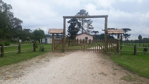 Imagem 3 de 30 de Chácara Para Venda Em Guarituba Piraquara-pr - 5771