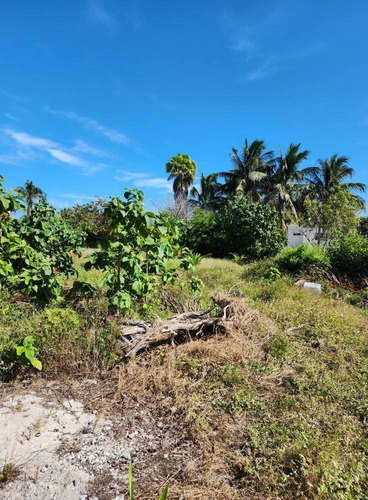 Remato Terreno En Chuburná Puerto 90 Metros De La Playa