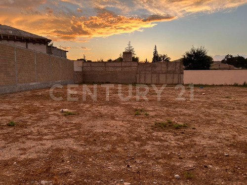Se Vende Terreno 10,000 M2 En Eulalio Gutiérrez