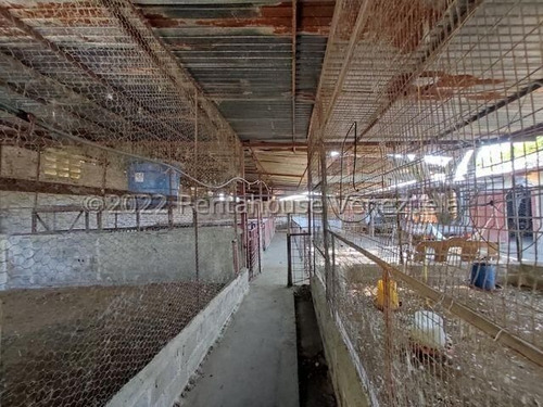 Imagen 11 de 20 de Casa En Venta En Zona Centro Santa Cruz De Aragua 22-24564 Irrr