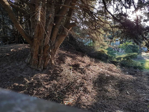 Imagen 4 de 6 de Lotes Linderos De 350m2 Venden Juntos /separados-oportunidad