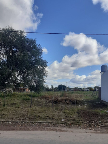 Terreno Calle P. Donatti Entre Callaqueo Y Pincen