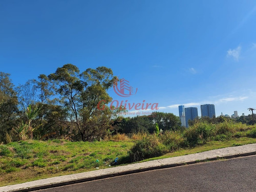 Imagem 4 de 10 de Terreno Jundiai Jardim Paulista Ii 350m2 Pronto Para Construir - Te00276 - 70244687