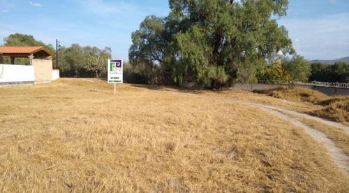 Terreno Residencial Club De Golf, Cisnes Sup. 700.57 Mts