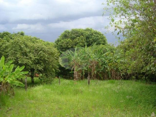 Chácara À Venda Em Chacaras De Recreio Floresta - Ch191668