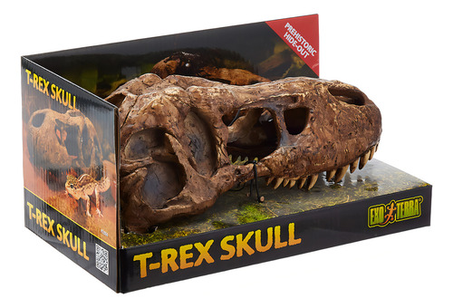 Decoración De Terrario Exo Terra Con Forma De Calavera De T-rex