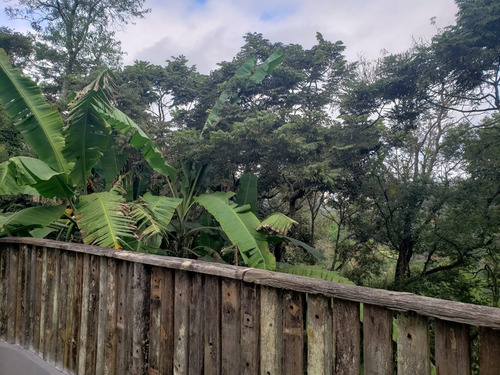 Imagem 24 de 30 de Chácara À Venda Em Terra Preta - Mairiporã Sp - 0223 - 34968735