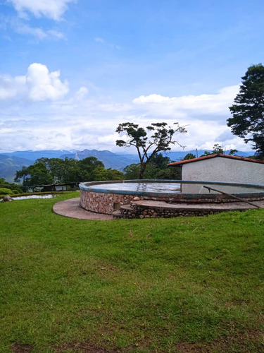 Espectacular Finca La Esperanza En El Municipio San Cristobal, Estado Tachira. Vende Crismelia Castillo