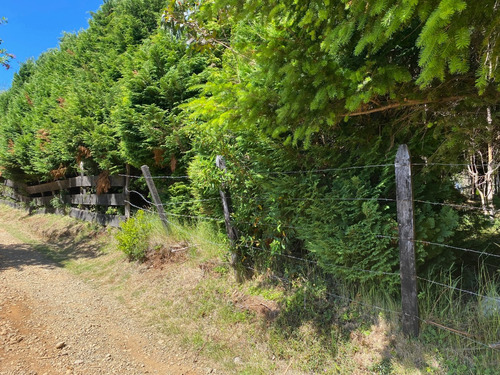 Parcela 5000m2, Cutipay Alto Lado Cementerio Niebla Valdivia