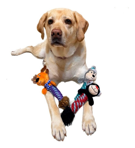 Juguete Para Perro 3pz Think Dog