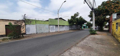 Vargas Fontecilla / Radal