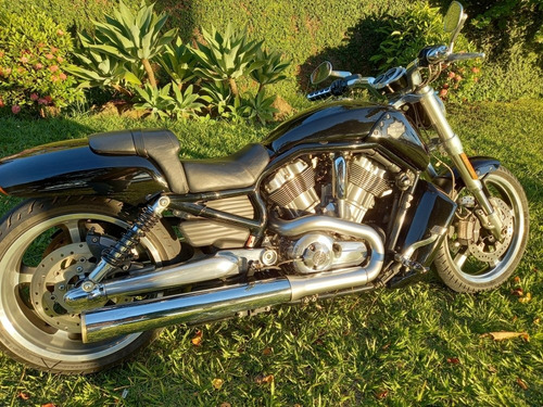 Harley Davidson V Rod Muscle