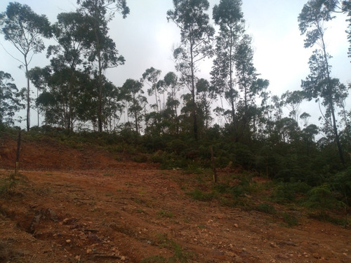 Imagem 7 de 12 de Chácara 1000 Mts Em Ibiúna