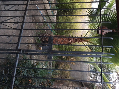 Reja Fierro Forjado 5 Piezas, Puerta+portón Doble+2 Paños (Usado)