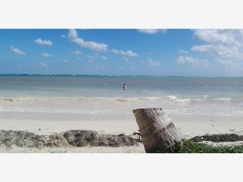 Imagen 3 de 5 de Terreno En Venta Mahahual
