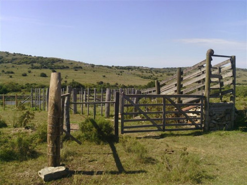 Campo En Maldonado - Los Caracoles- Ref: 31037