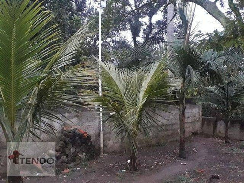 Imagem 12 de 14 de Imob03 - Chácara 1200 M² - Venda - 3 Dormitórios - 1 Suíte - Jardim Chácara Méa - Suzano/sp - Ch0119
