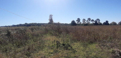 Imagen 5 de 9 de Campo 7ha - Apto Loteo - Con Escritura - Alta Gracia
