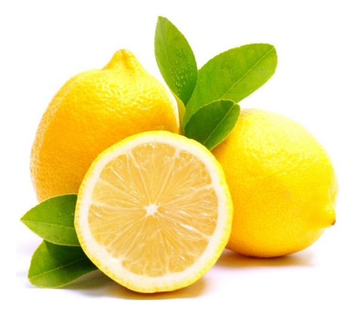 Árbol Lima Dulce ( Citrus Limettioides )