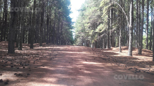 Terreno, Barrio Privado, Playa, Puerto, Seguridad