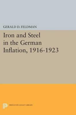 Libro Iron And Steel In The German Inflation, 1916-1923 -...