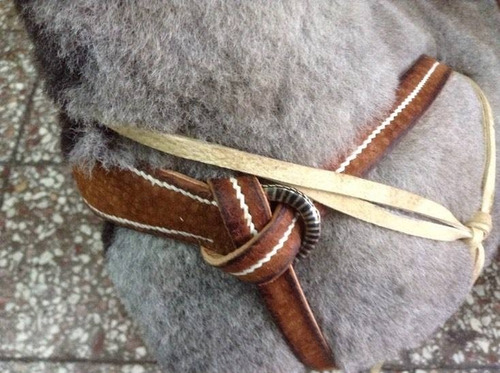 Montura Fina Carpincho Argollas Chapeadas / Bauldeaperos