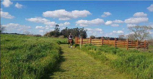 Caballos Pensionado Y Centro De Recria