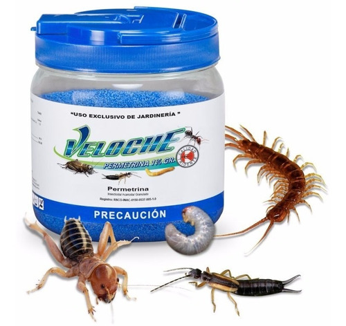 Veloche 1 Kg Insecticida Jardin Pasto Hormigas Grillos Milpiés Cienpies Alacran Gallina Ciega Cara De Niño Tijerillas