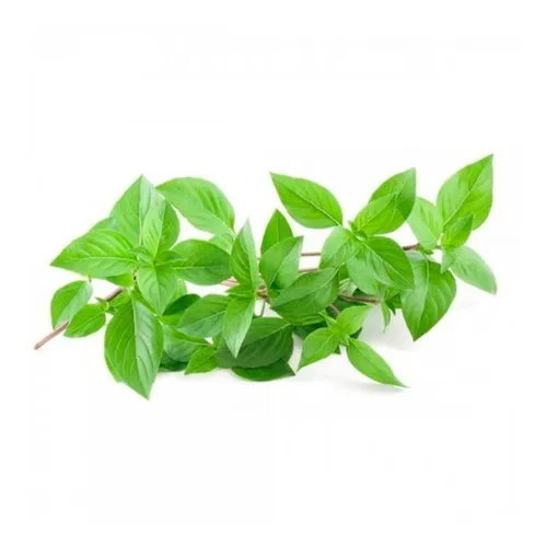 Semillas Aromáticas Albahaca Fina Pack X780