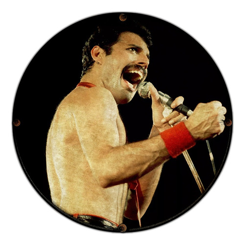 #80 - Cuadro Decorativo Vintage Retro / Freddie Mercury !