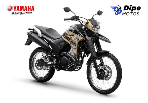Imagem 1 de 5 de Yamaha Xtz Lander 250 Abs 2022 - Dipe Motos
