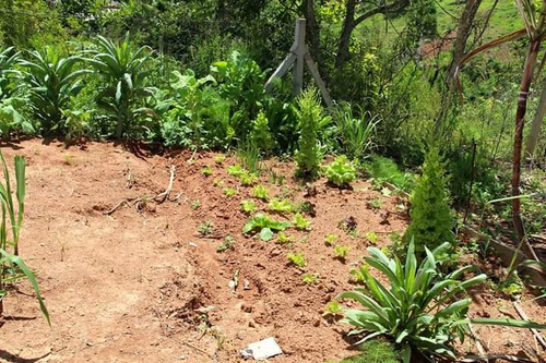 Imagem 9 de 14 de Chácara 1.000 M² Em Ibiúna - Chácara Barata - Cód.092