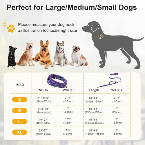 Daganxi Collar De Perro Ajustable De Neopreno Suave Acolchad