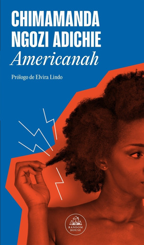 Americanah - Adichie Chimamanda Ngozi
