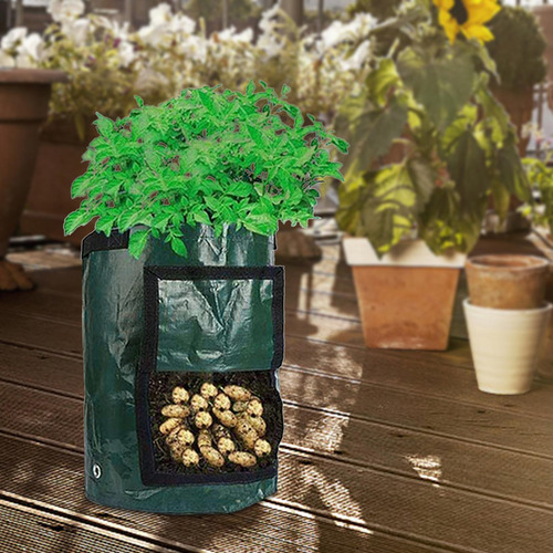 Bolsa Para De , Bolsa Para De Patatas, 7 Galones 30x35cm