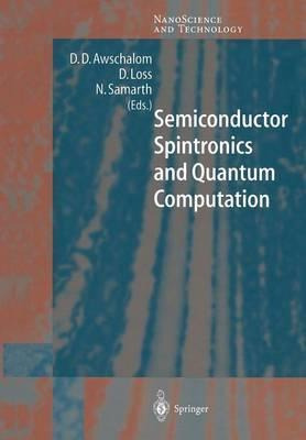 Libro Semiconductor Spintronics And Quantum Computation -...