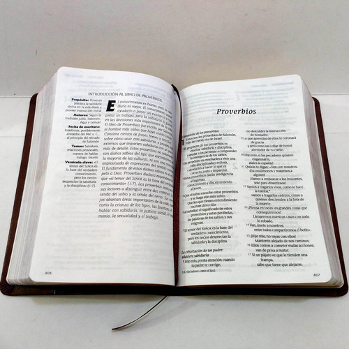 Imagen 6 de 10 de Biblia Ntv Edición Compacta De Letra Grande Senti Piel Café