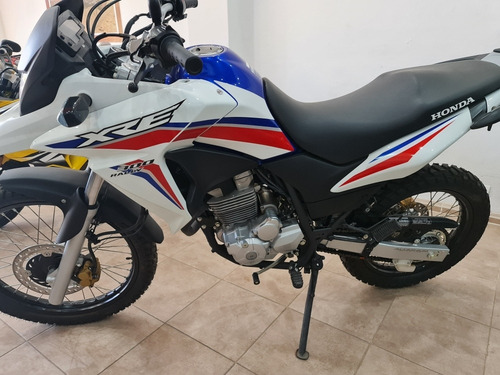 Imagen 6 de 15 de Honda Xre 300 Rally