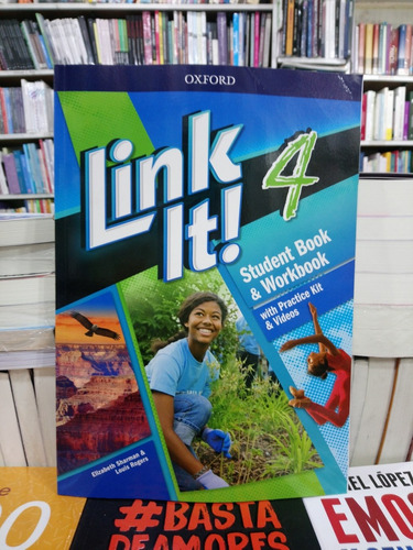 Link It 4 Student Y Workbook