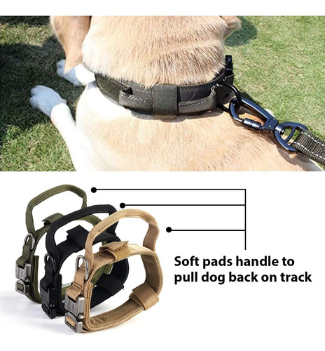 Juego De Collar Táctico Para Perro, Juego De Collar Y Correa